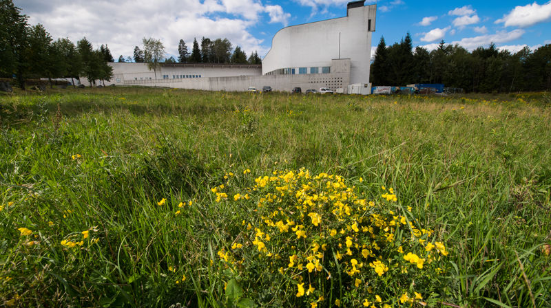 Velkommen til påskefeiring i Asker!