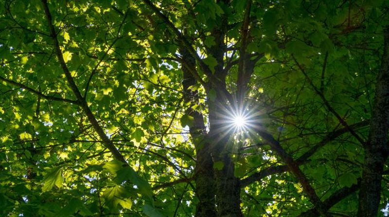 Folkekirkens omfattende omsorgstjeneste