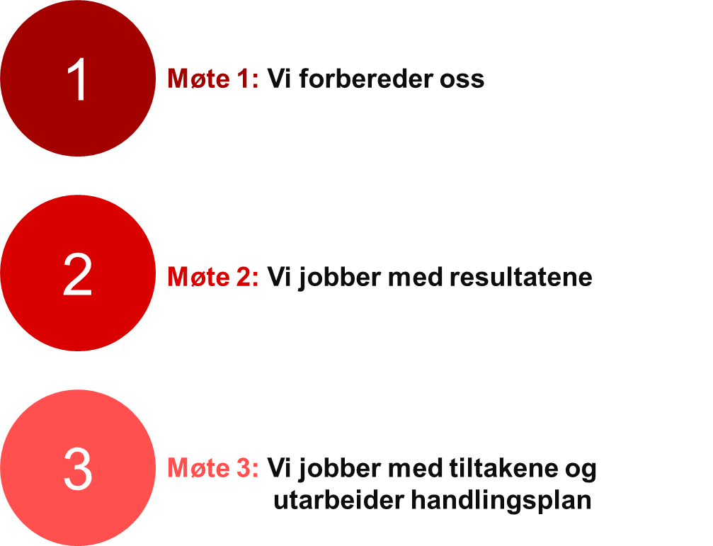 Møte 1: Vi forbereder oss. Møte 2: Vi jobber med resultatene. Møte 3: Vi jobber med tiltakene og utarbeider handlingsplan. 