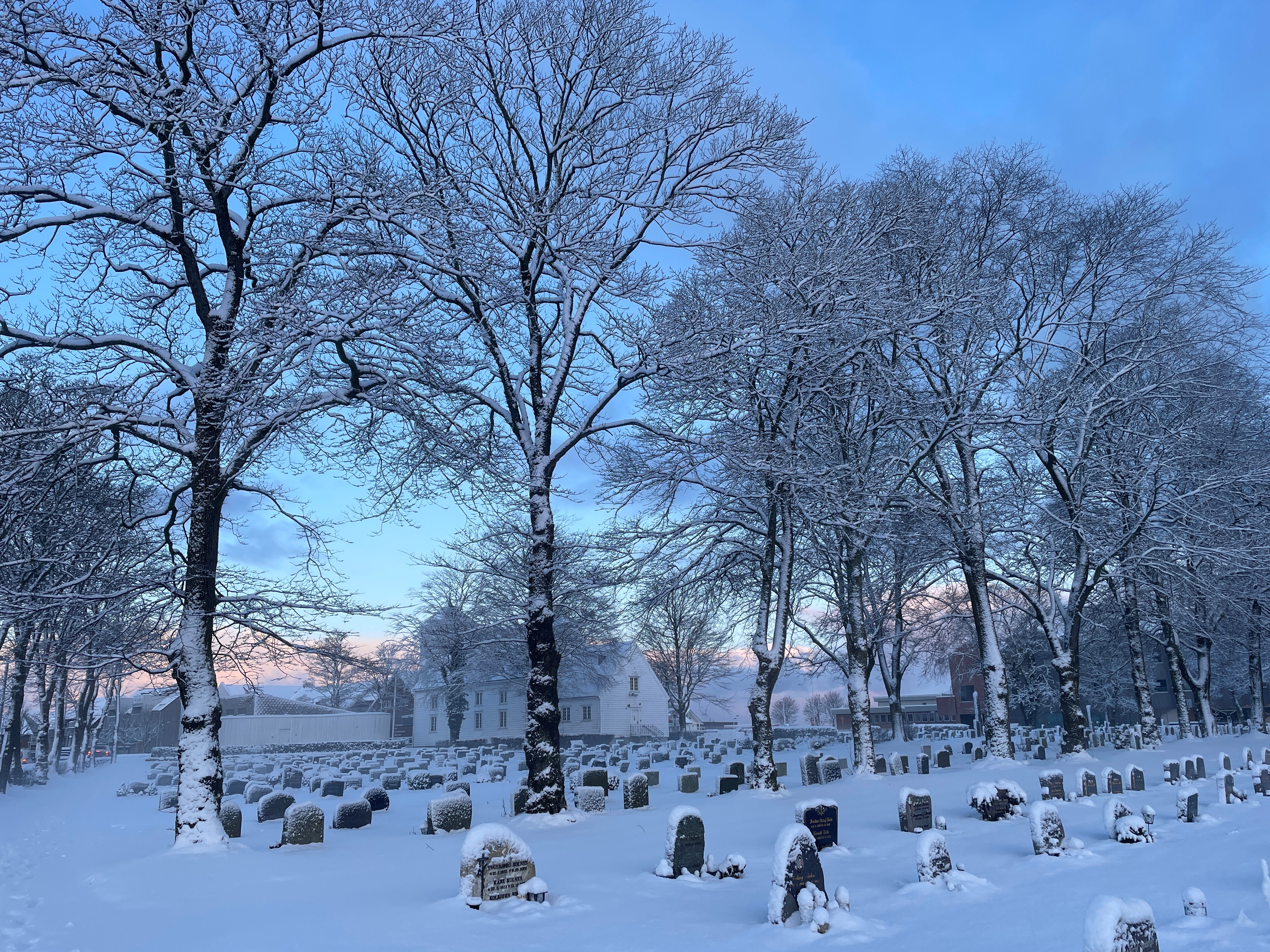 Årsmøte og årsmelding