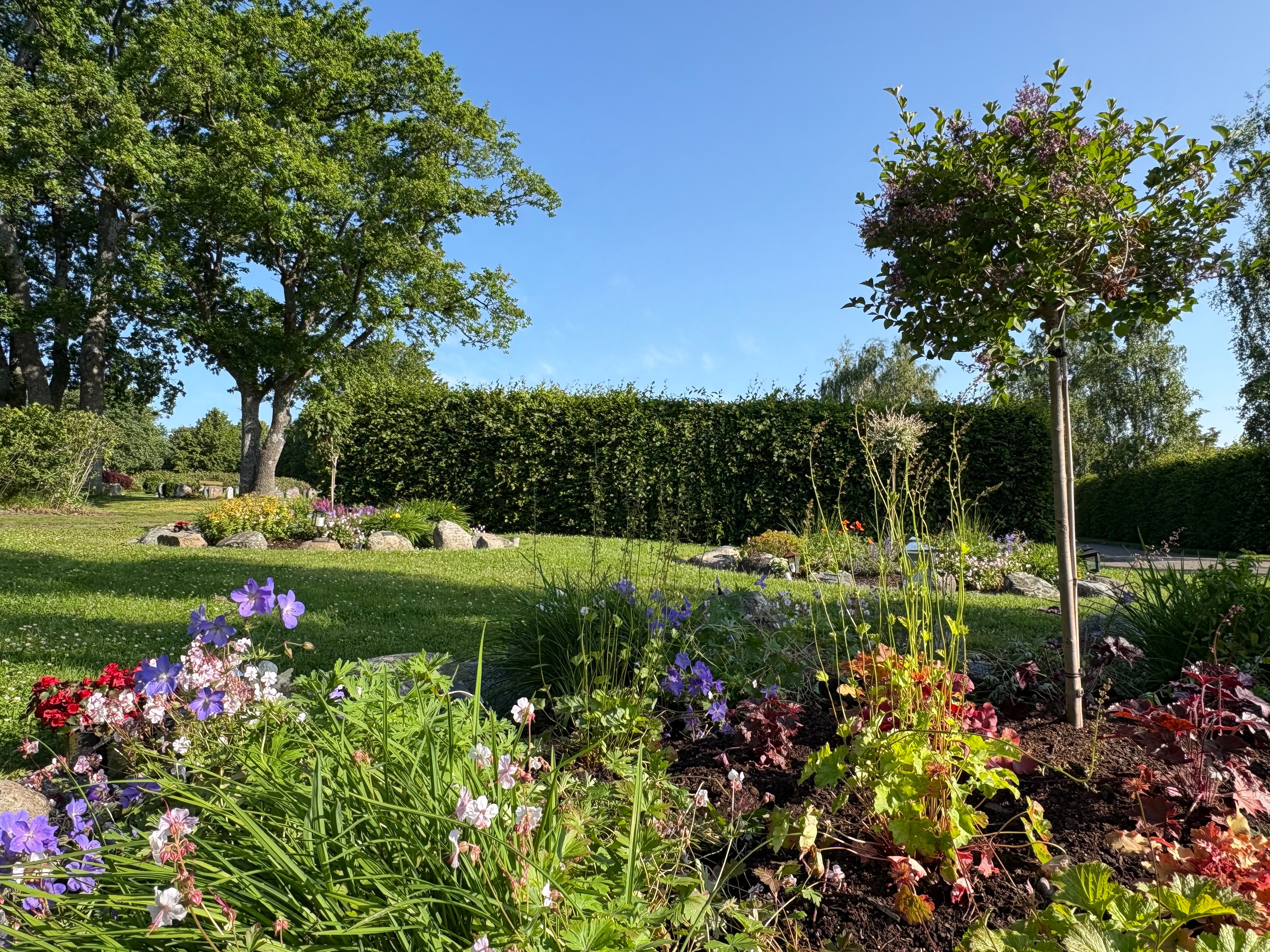 Sommerjobb på gravplassene i Færder?