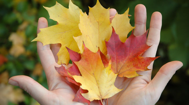 Høstferieaktiviteter