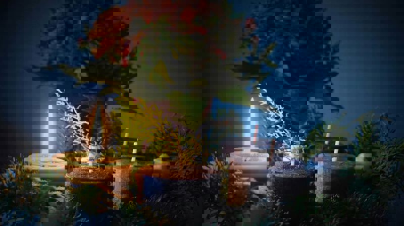 VI SYNGER ADVENT INN