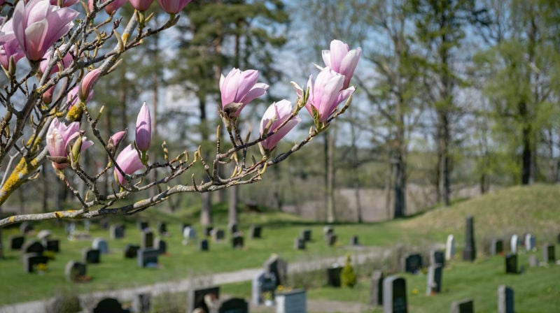 Foto Den norske kirke - Kirkerådet