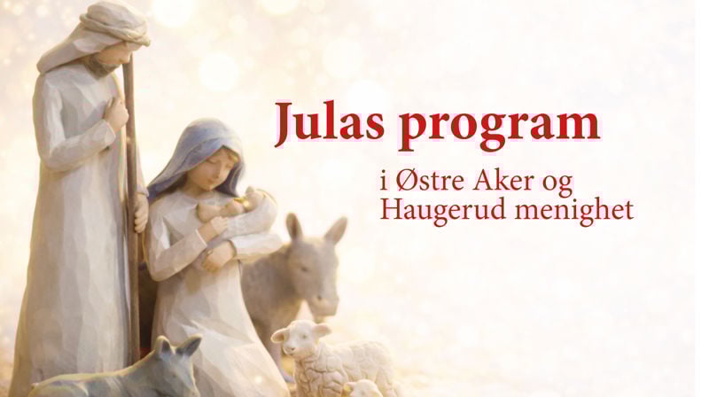Julas program