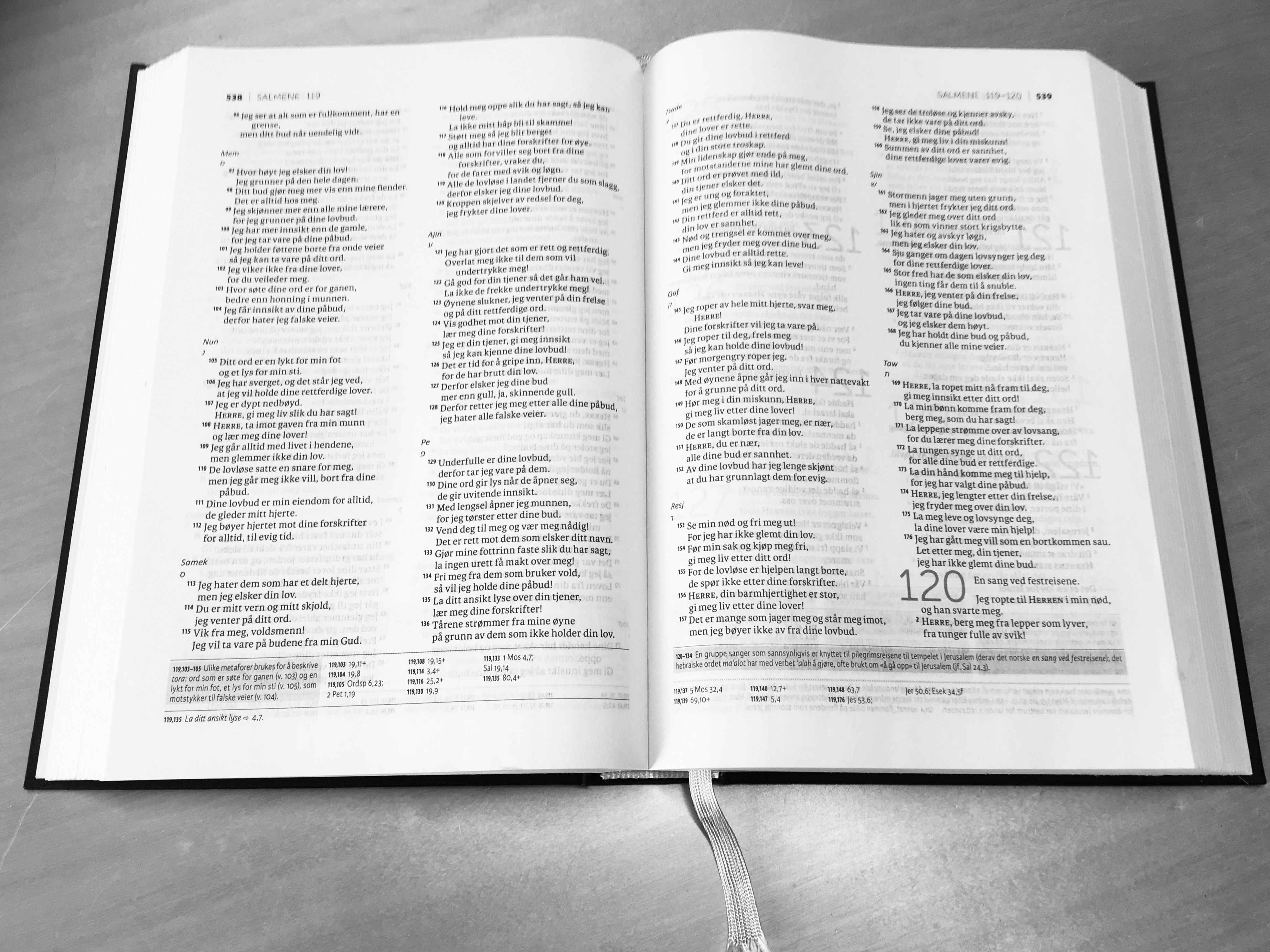 Bibeltimer våren 2025