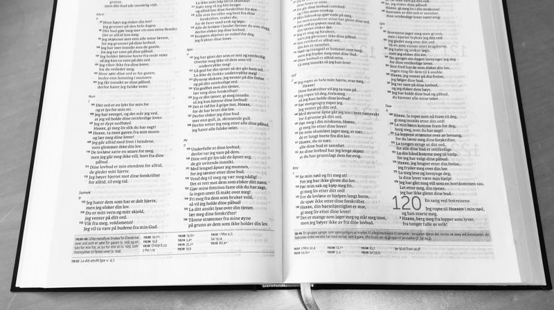 Bibeltimer våren 2025