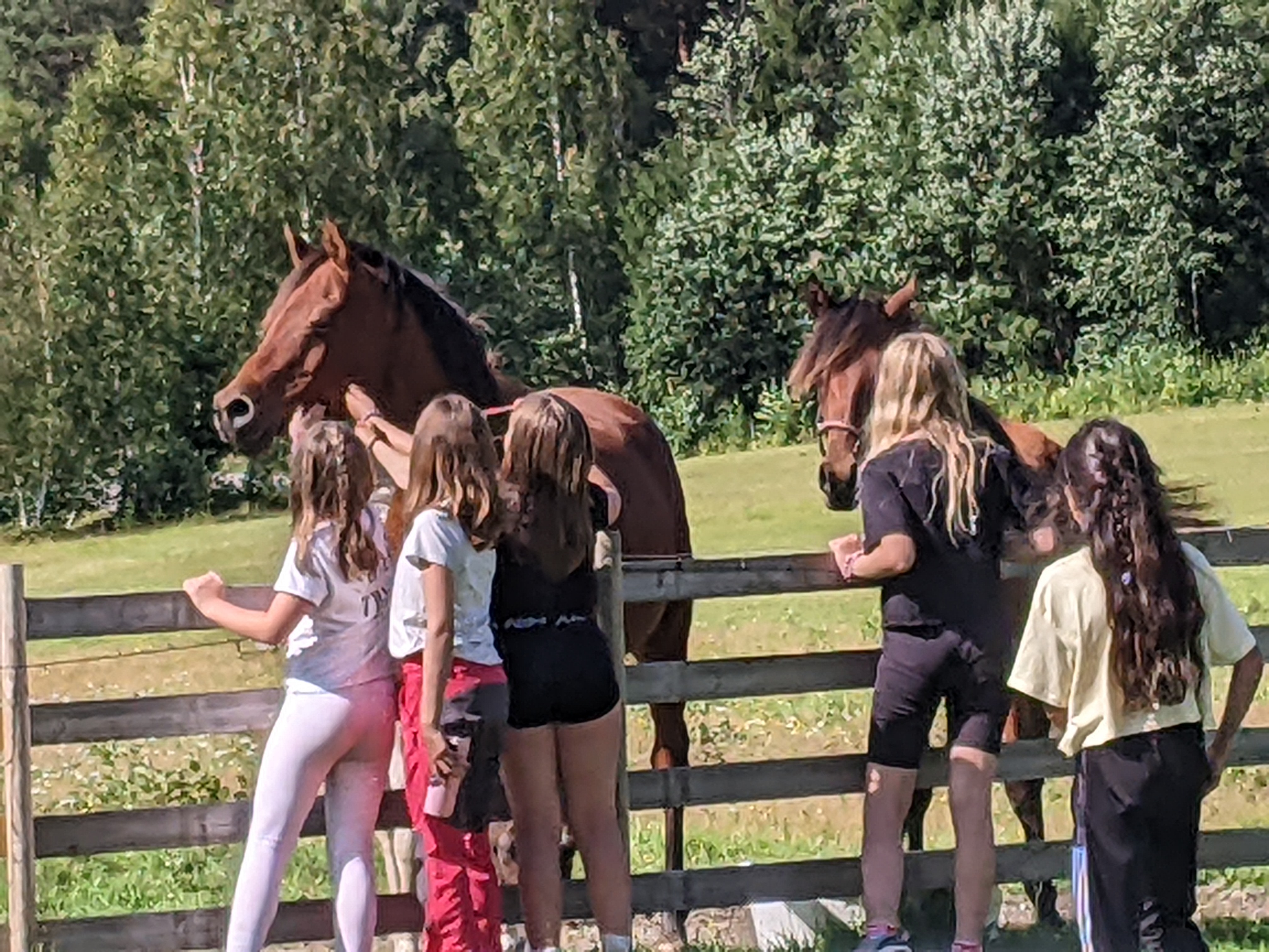 Ferieklubben på gårdsbesøk i 2023. Foto: Lasse Rasmussen Moskvil.