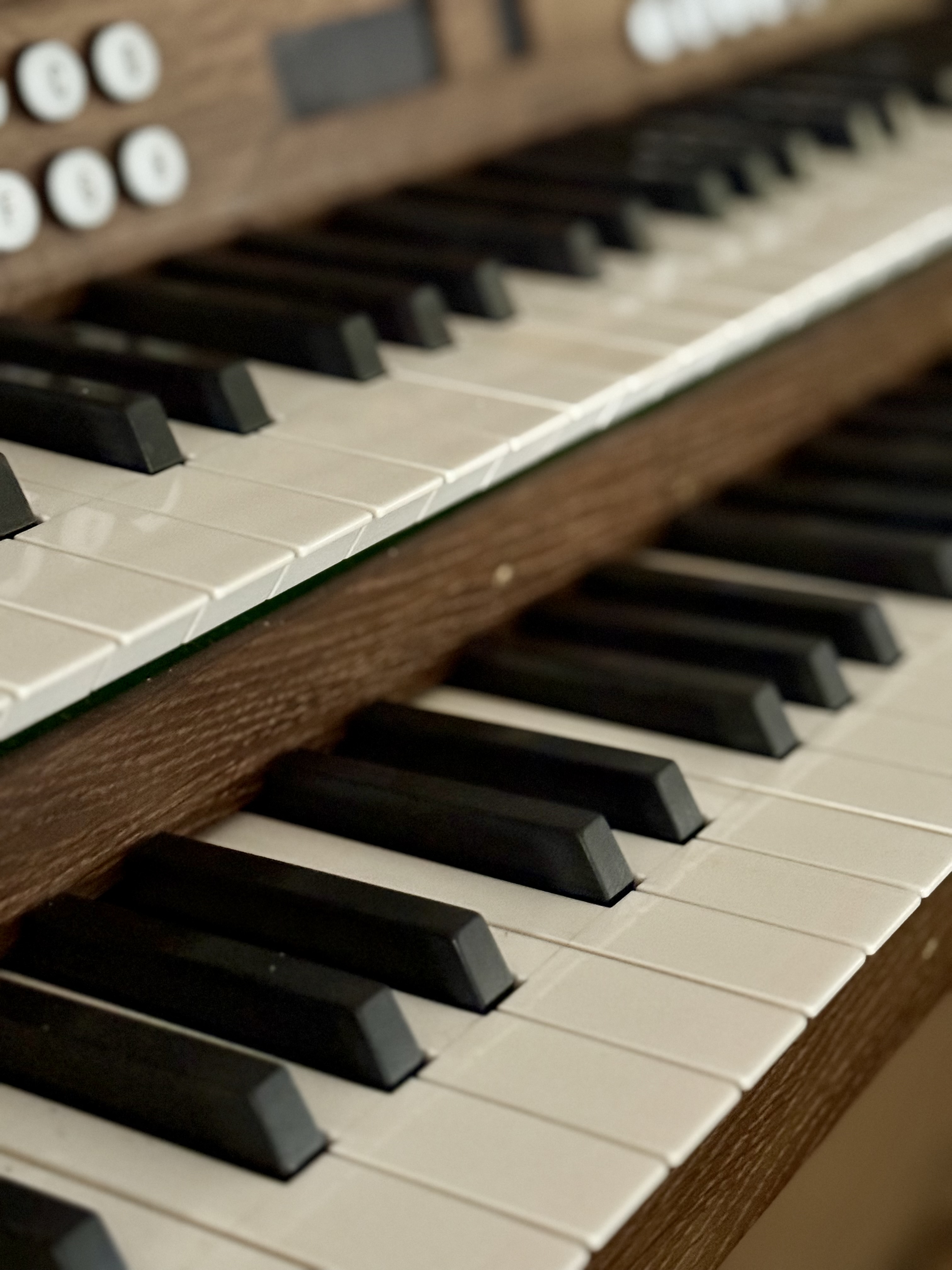Orgel