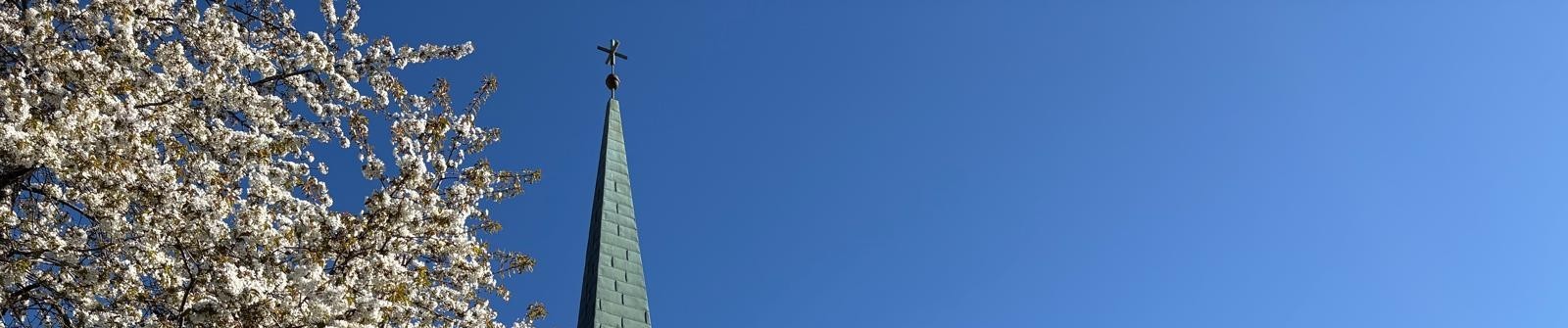 Toppbilde for Tonsen menighet