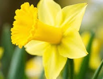 Velkommen til påskens gudstjenester i Rennebu!