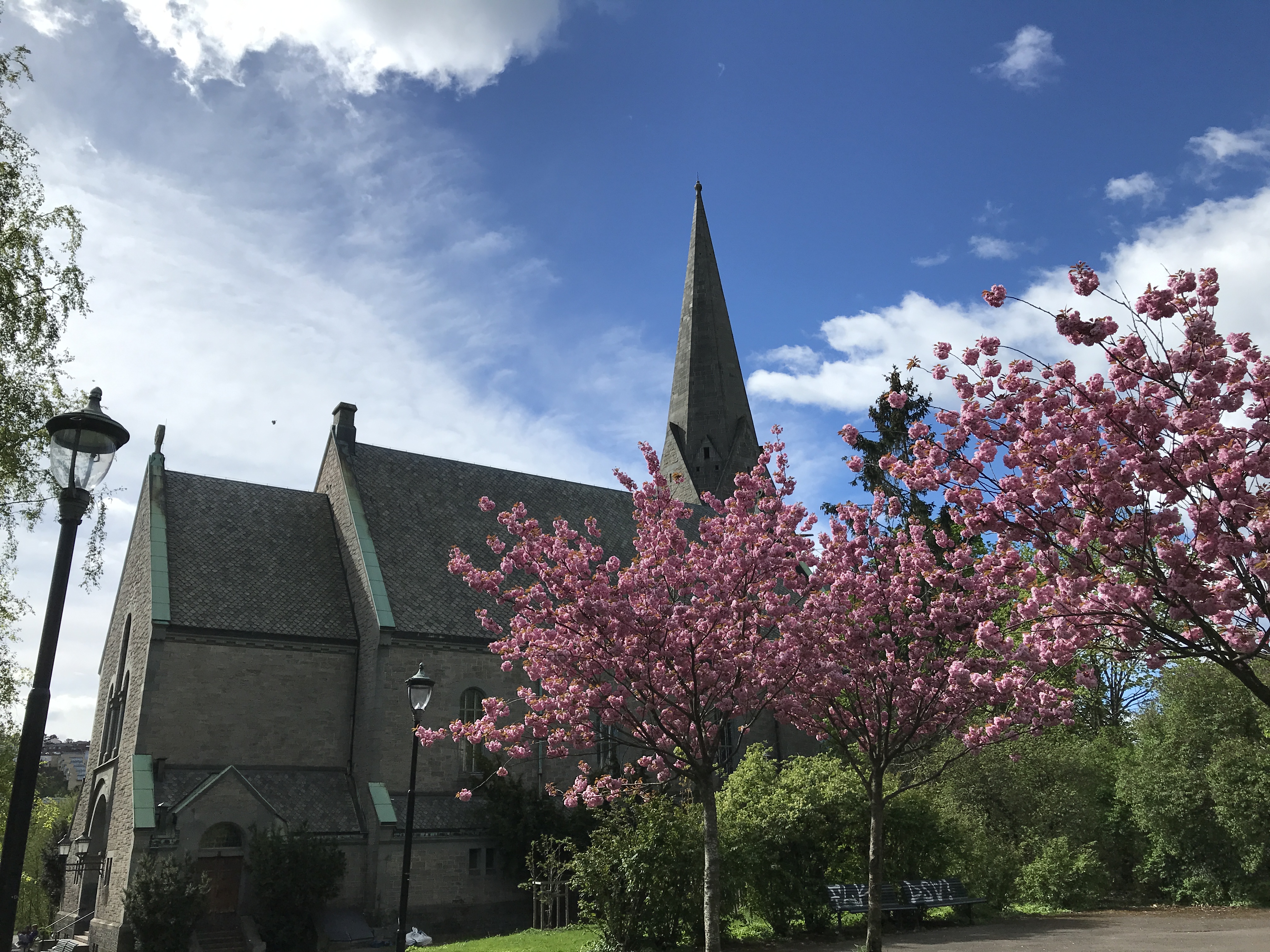 Vår vakre Vålerengapark!
