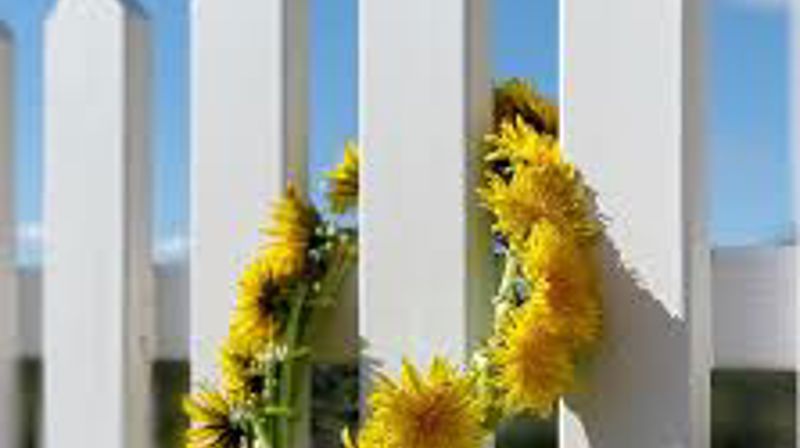 Sommer i Oddernes og Justvik