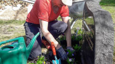 Planting av blomster ved gravminne. Foto: Mona Odden