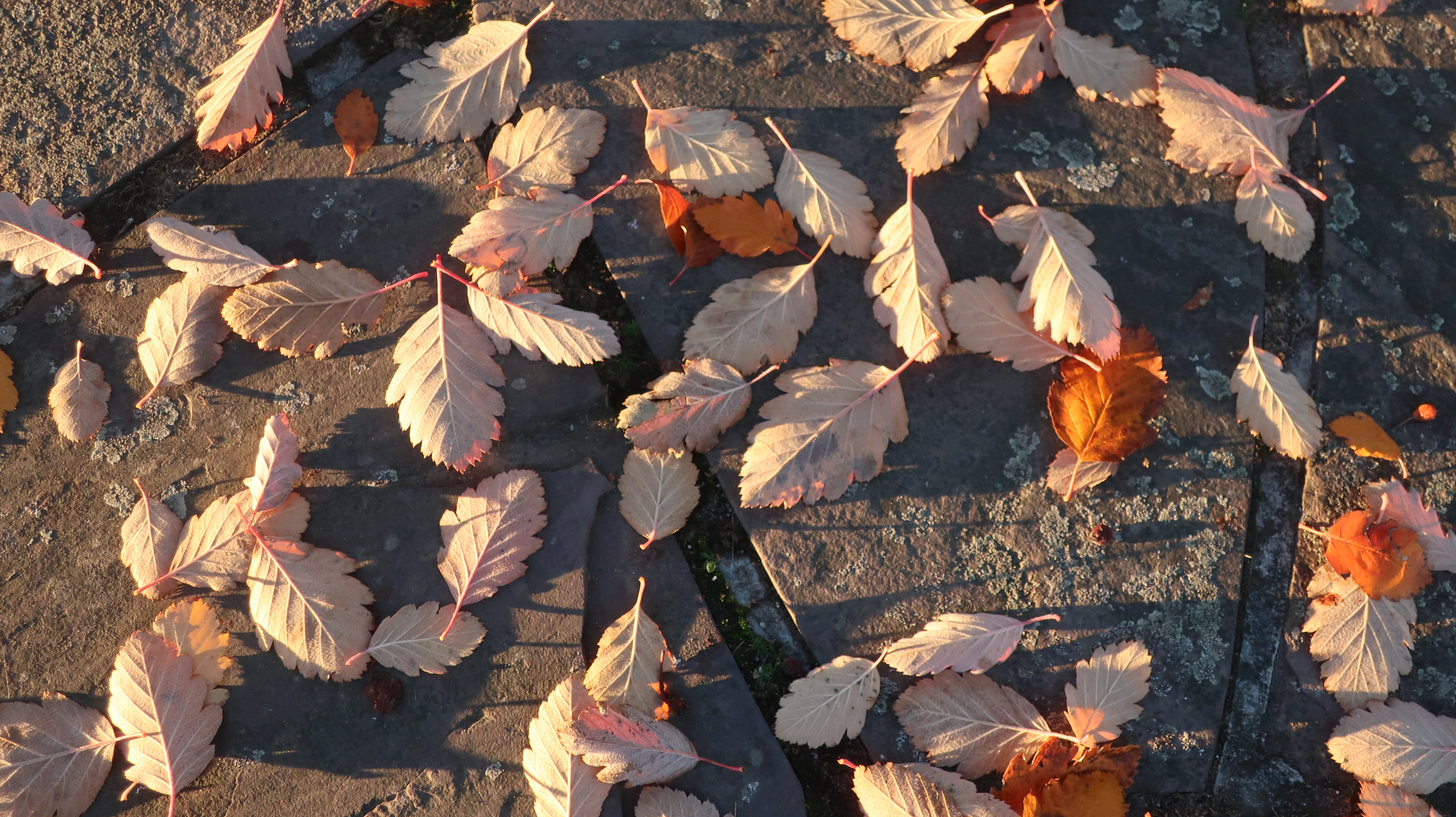 Toppbilde for Hole kirkelige fellesråd