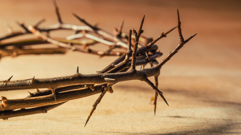 Eksempelbilde: Adobe Stock