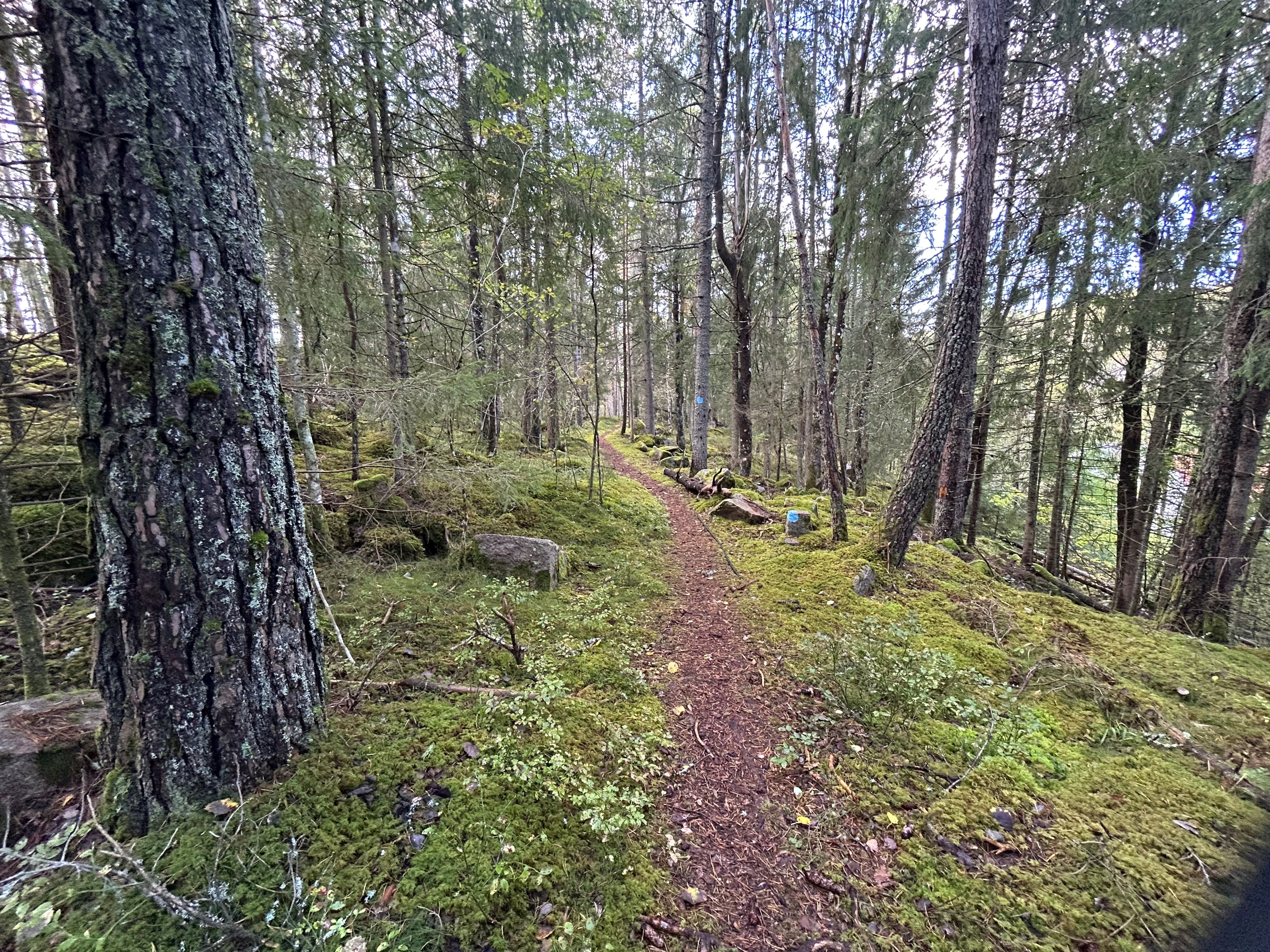 Organisering av pilegrimsarbeidet i Asker