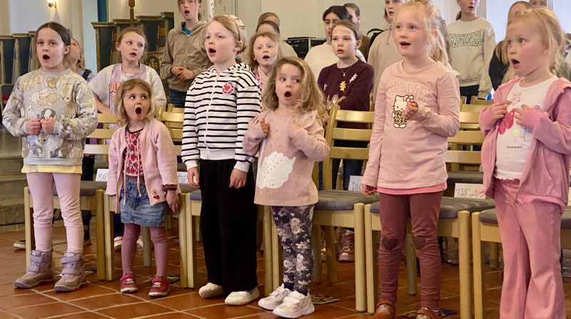 Aspirantkoret 5-6 år