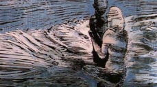 Illustrasjon: Marianne Gihle