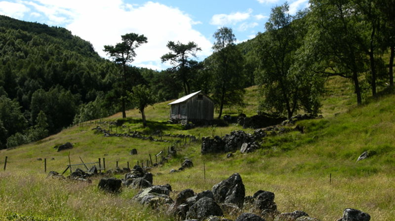 Tru og trusliv i Bjerkreim - gjennom tidene