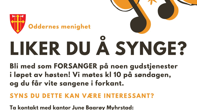 Vil du være forsanger på gudstjenester?