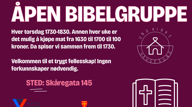 Bibelgruppe for unge vaksne