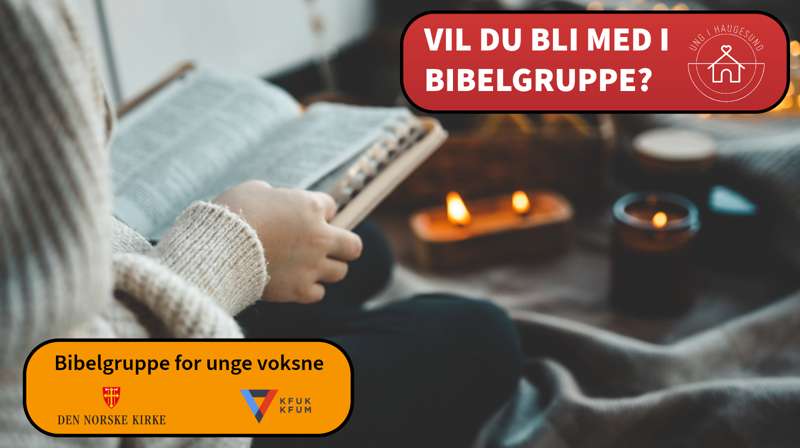 Bibelgruppe for unge vaksne