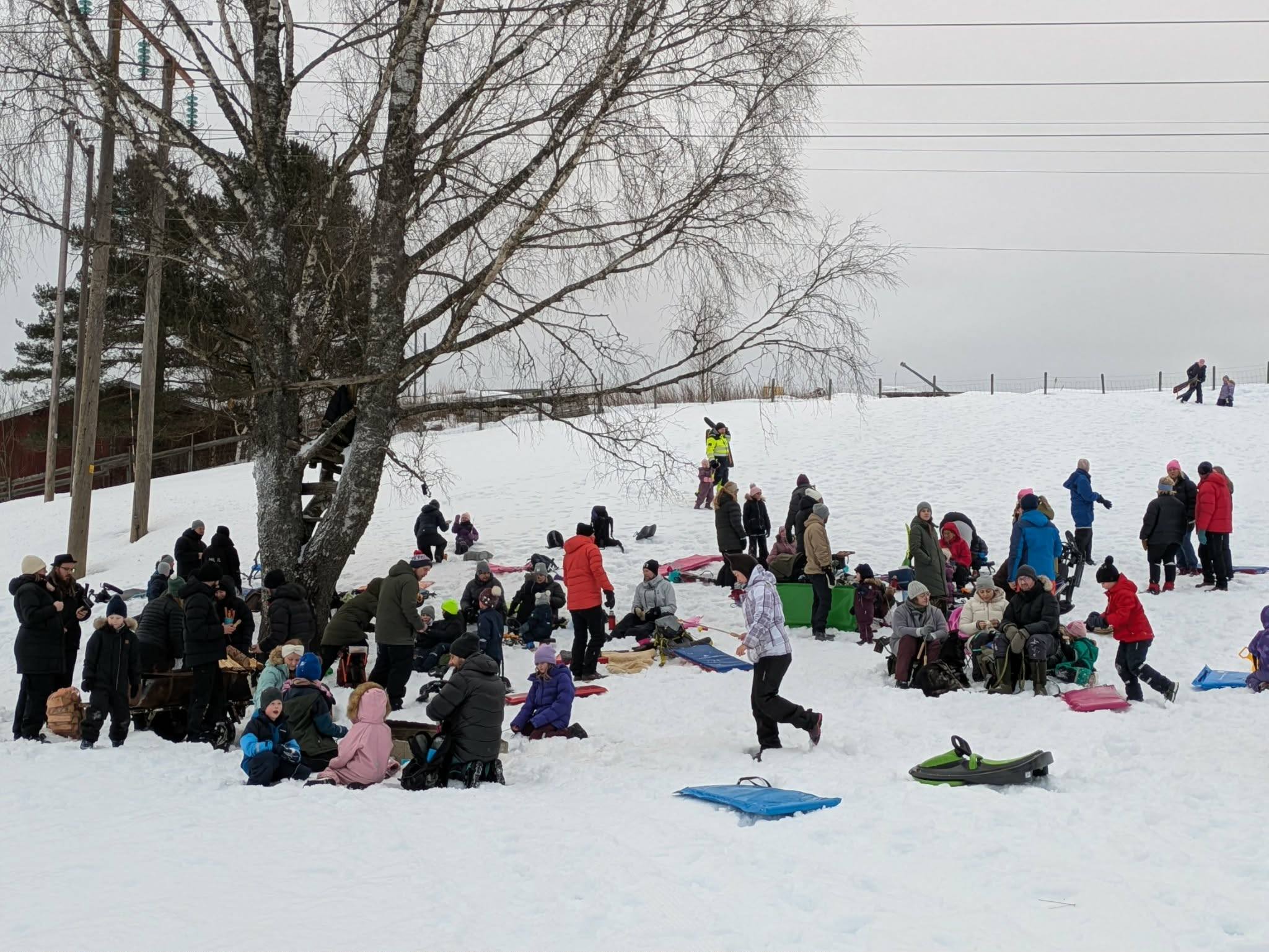 Mogreina vinterfestival