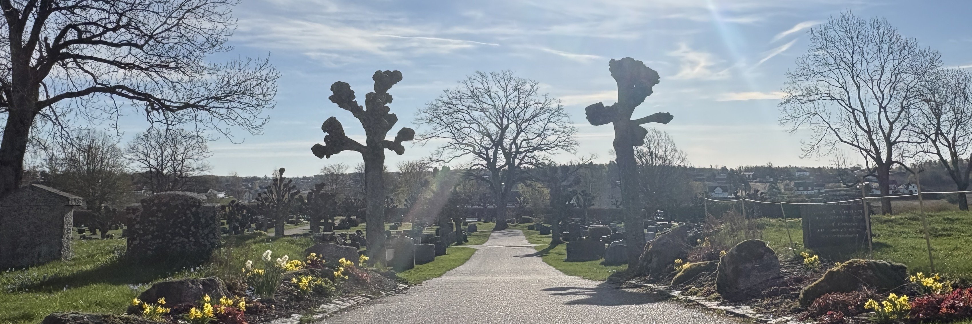 Toppbilde for Gravplassmyndigheten i Færder