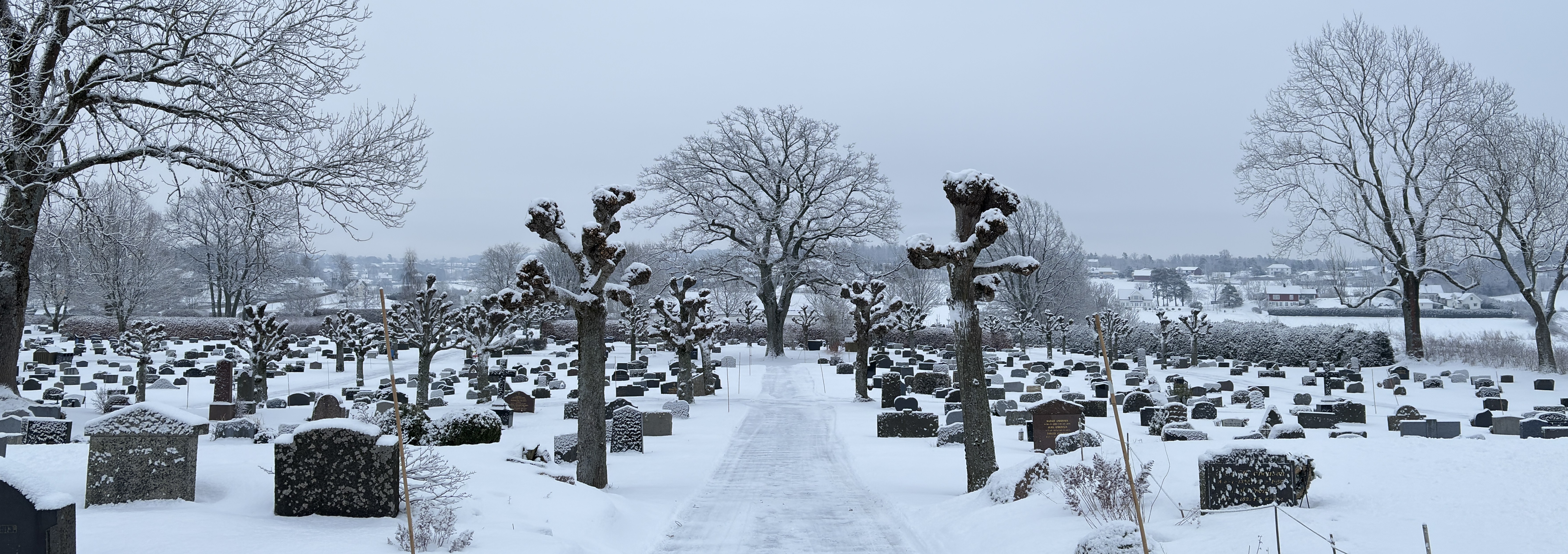Toppbilde for Gravplassmyndigheten i Færder