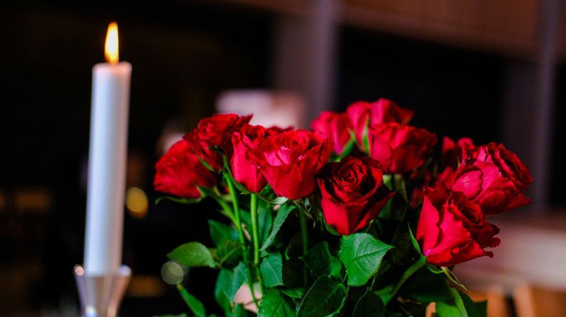 Fest for frivillige!