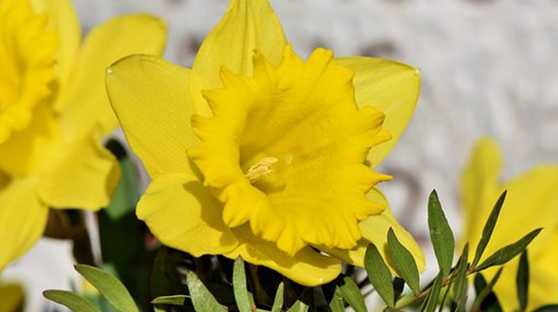 Vårbasar i Høybråten menighetshus