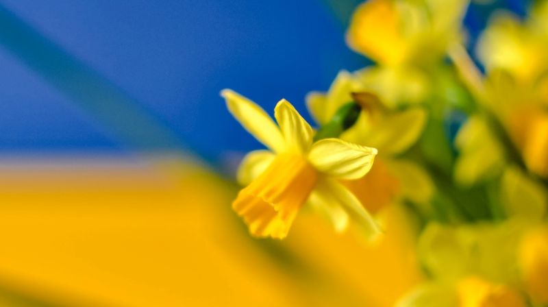 Påsken i Holum og Mandal menigheter