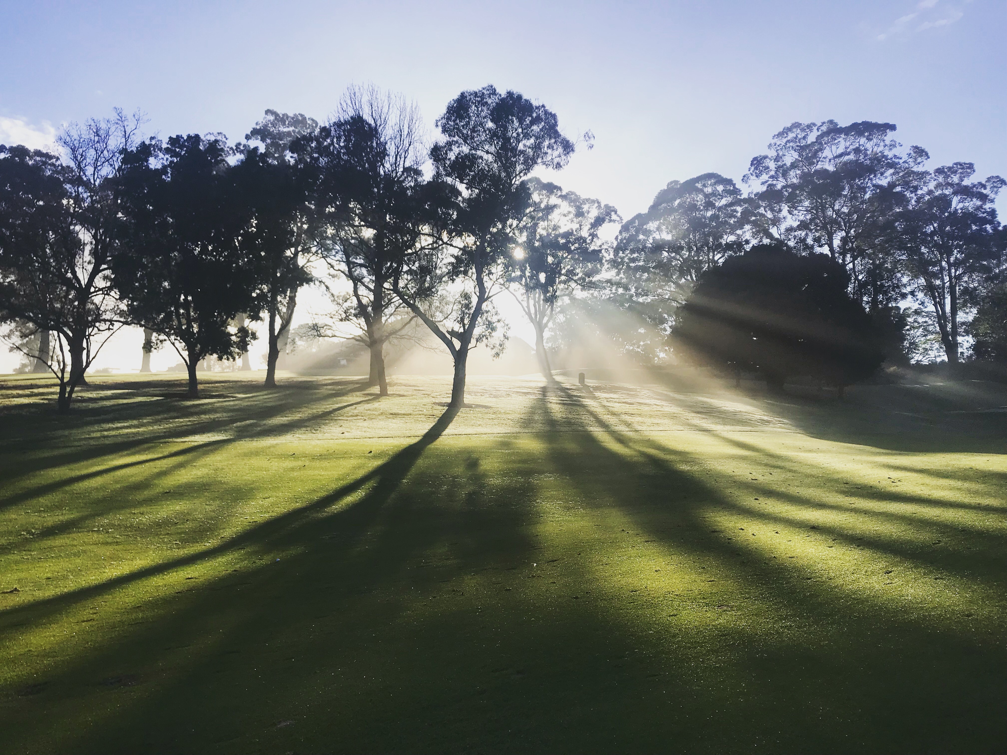 Pentecost church service at zoom
