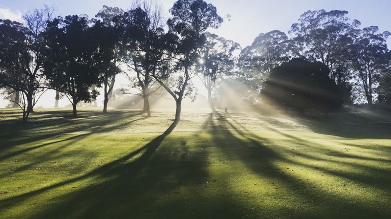 Pentecost church service at zoom