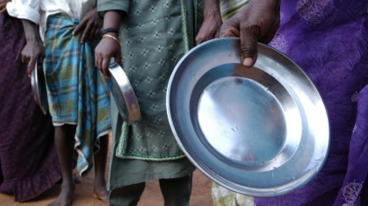 Foto: iStockphoto/David Snyder