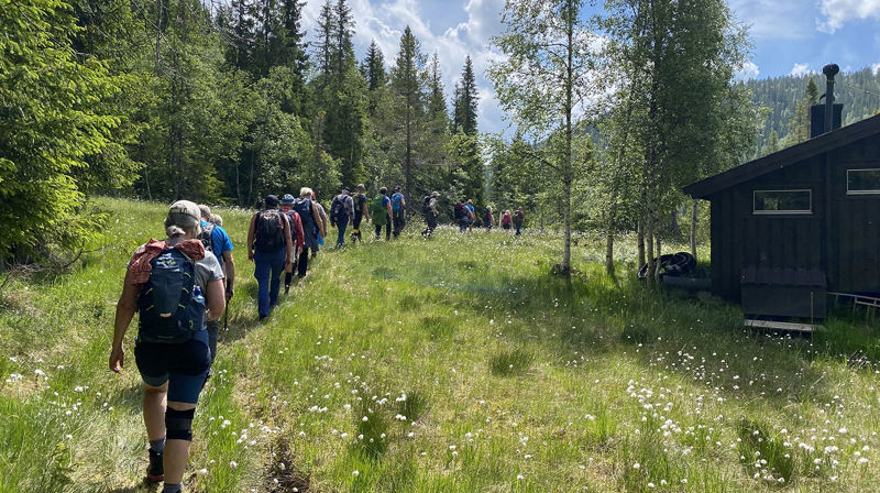 Pilegrimsvandring  mellom Åraksbø og Bygland. Foto: Helga Victoria Aas Johnsen. 