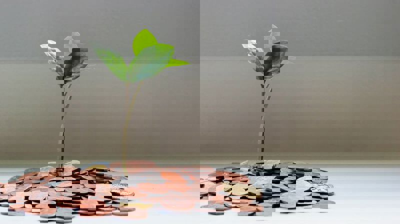 Veiledning til innsamling