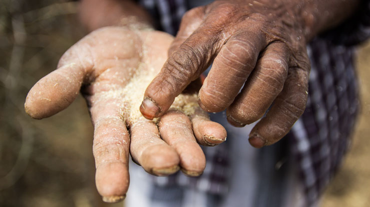 Foto henta frå Kirkens Nødhjelp sitt arbeid i Kenya.