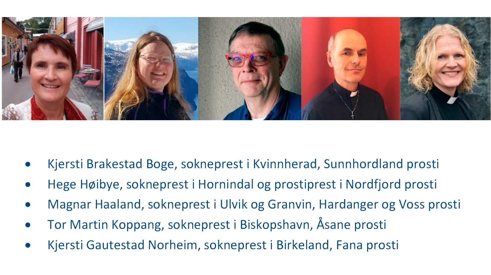 Fem geistlege kandidatar til bispedømerådsvalet