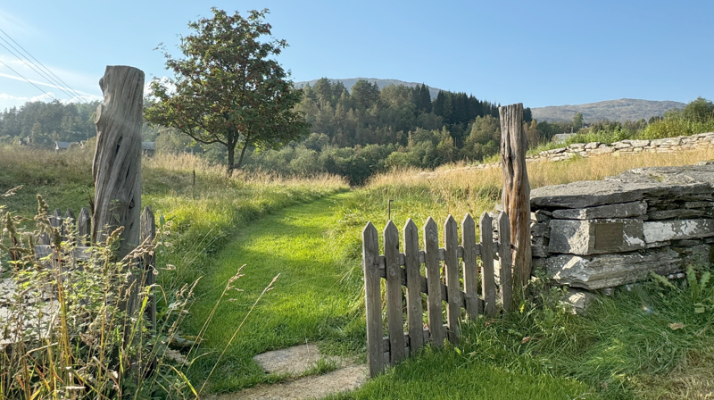 Oppheim gamle kyrkjegard er ein av stadane som er godkjend for utandørs vigsel i Bjørgvin bispedøme.