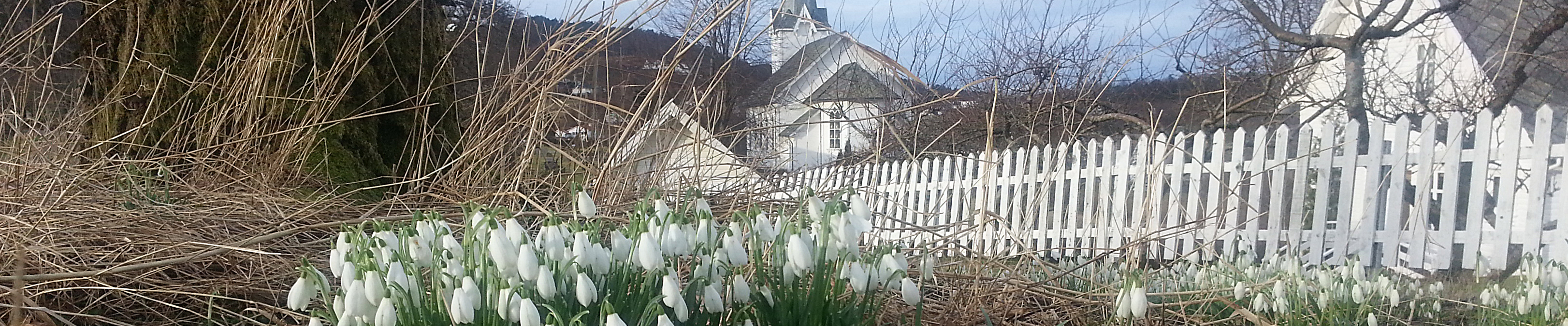 Toppbilde for Bjørgvin bispedøme