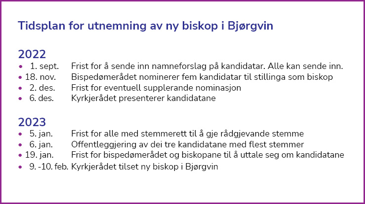 tidsplan ny biskop 2023.jpg