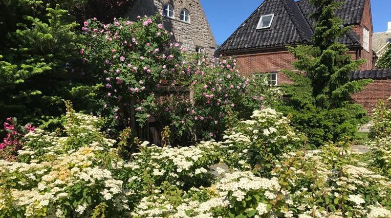 Sommerhilsen fra biskopen