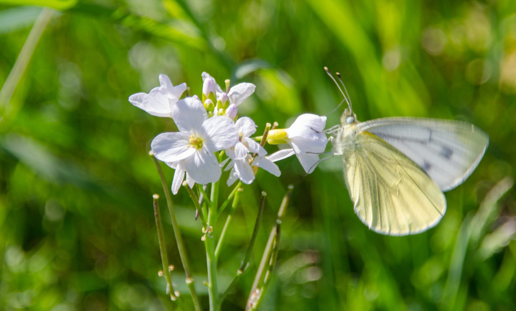 Seminaret om selvmordsforebygging blir i Fredrikstad 21.januar 2021.