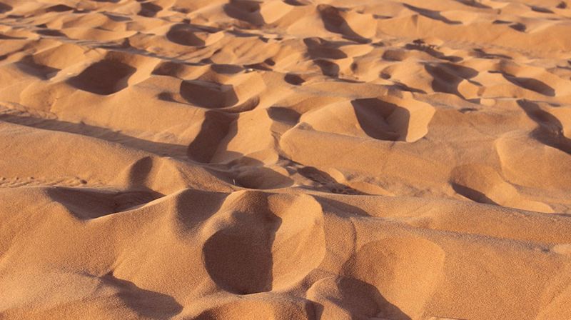 I de vise menns fotspor er en annerledes reise til Det hellige land.