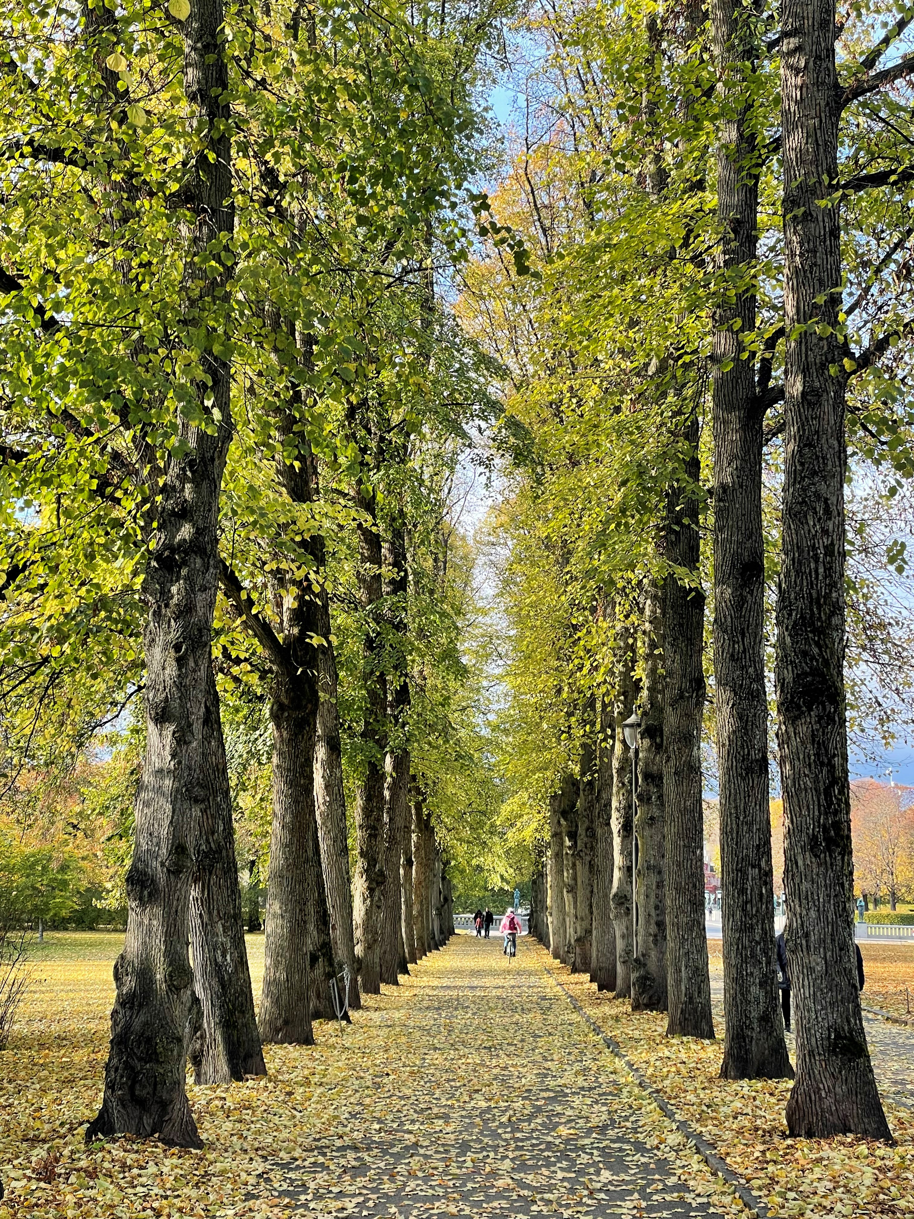 Opplev Gud på ulike måter
