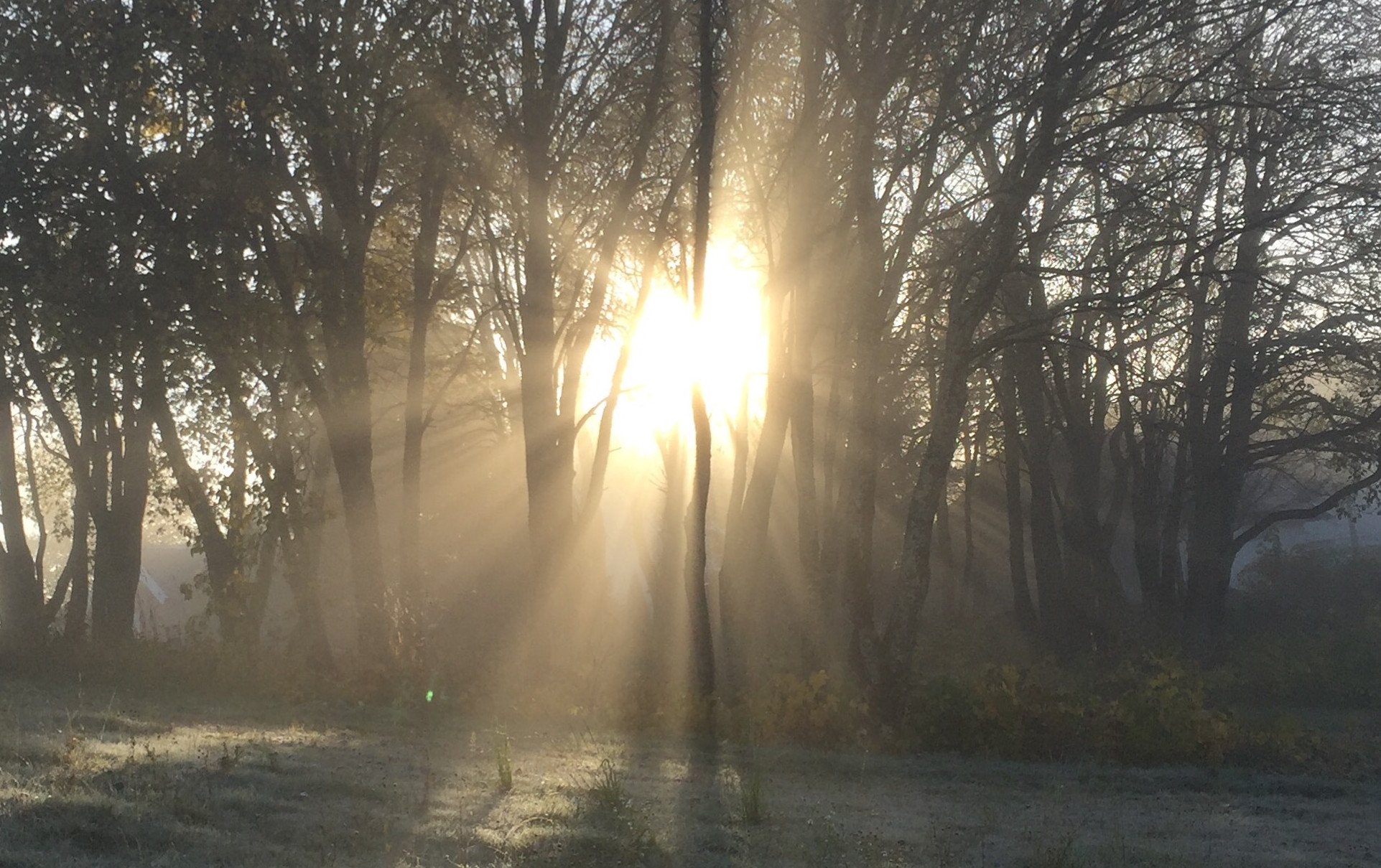 "Vi erfarer at det er noe som er større enn oss selv. Vi opplever at mange er enige i det, selv om ikke alle våger å navngi det som Gud." Foto: Ingvild Svalastoga