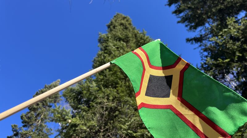 Flagget symboliserer skogens betydning for svedjebrukskulturen (grønt), moden svedjerug (gult), ilden og rognetreet-som var regnet som hellig (rødt), og soten fra røyk og svedje (svart) som også står for fruktbarhet. Foto: Hamar bispedømmeråd