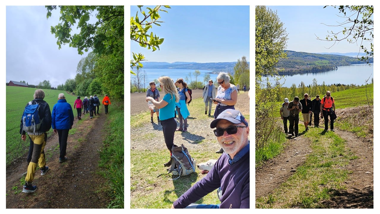 Toppbilde for Hamar biskop og bispedømmeråd